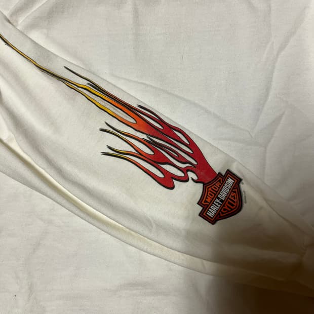 [XXL] 00s USA 할리 데이비슨 플레임 롱슬리브