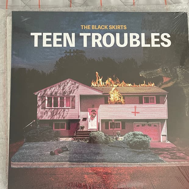 검정치마 틴트러블스 LP