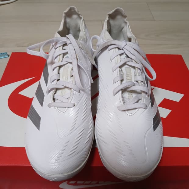 아디다스 프레데타 풋살화 (250mm) 