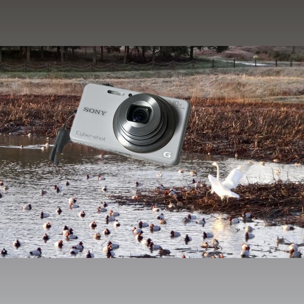 희귀 화이트 디카 소니 사이버샷 DSC-WX100