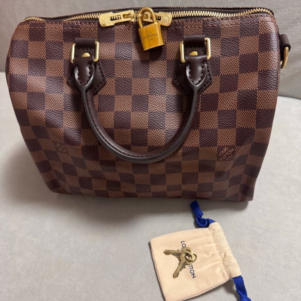 루이비통 스피디25 다미에