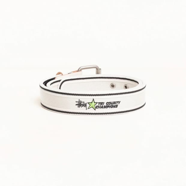 Stussy belt / TRI COUNTRY WEBBING BELT