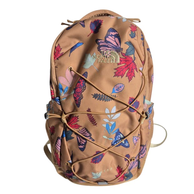 TNF) 노스페이스 제스터 백팩 22L