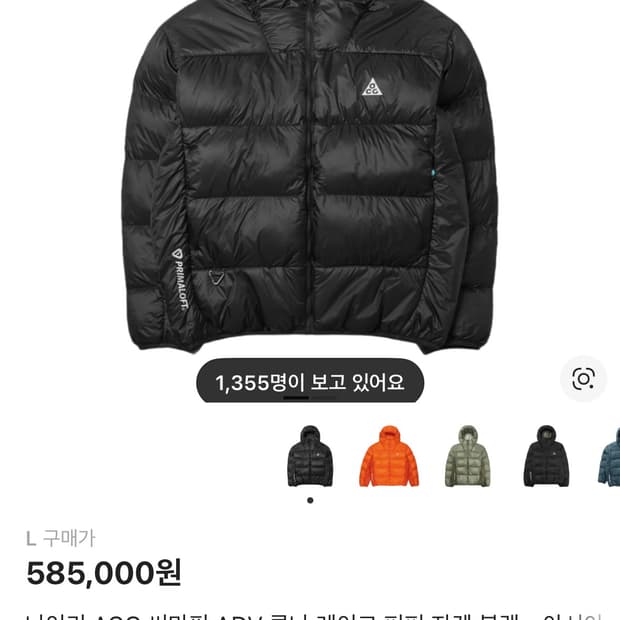 나이키 ACG 루나레이크 패딩