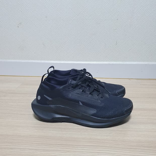 나이키 페가수스 트레일 5 고어텍스 260