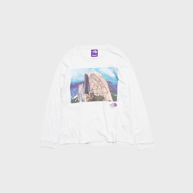 THE NORTH FACE PURPLE LABEL x PALACE