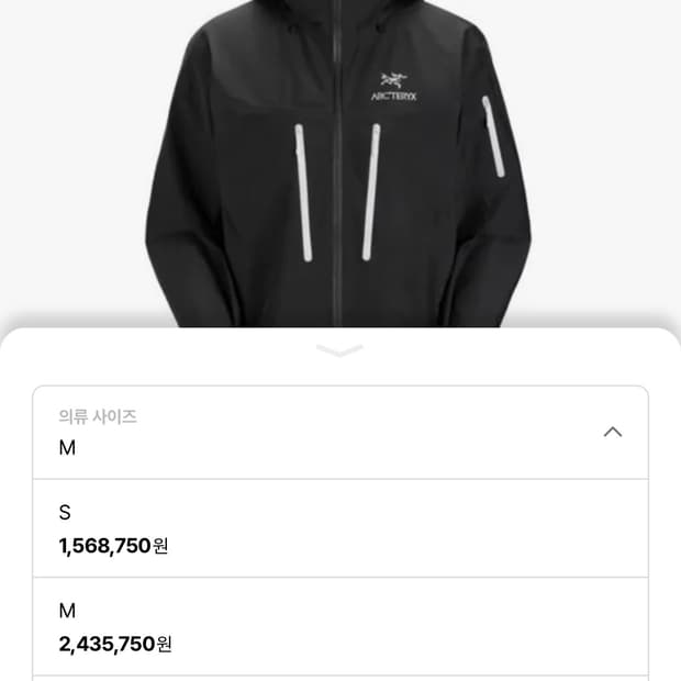 아크테릭스 알파 sv M 오르카 이동휘착용