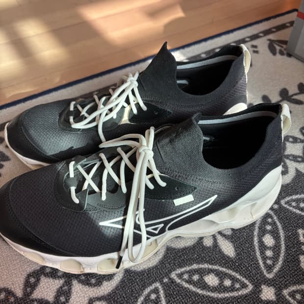 미즈노 WAVE PROPHECY