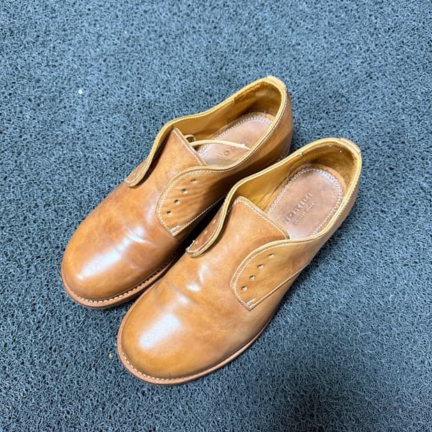 noriei 쉘코도반 더비