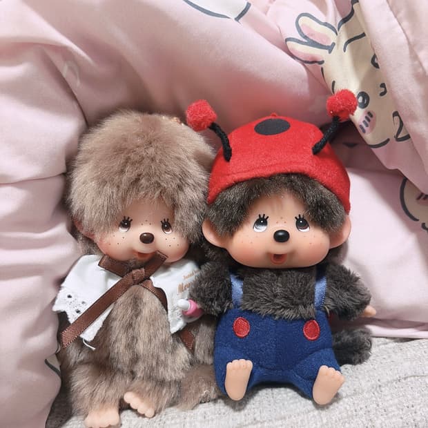 귀야운 몬치치 들