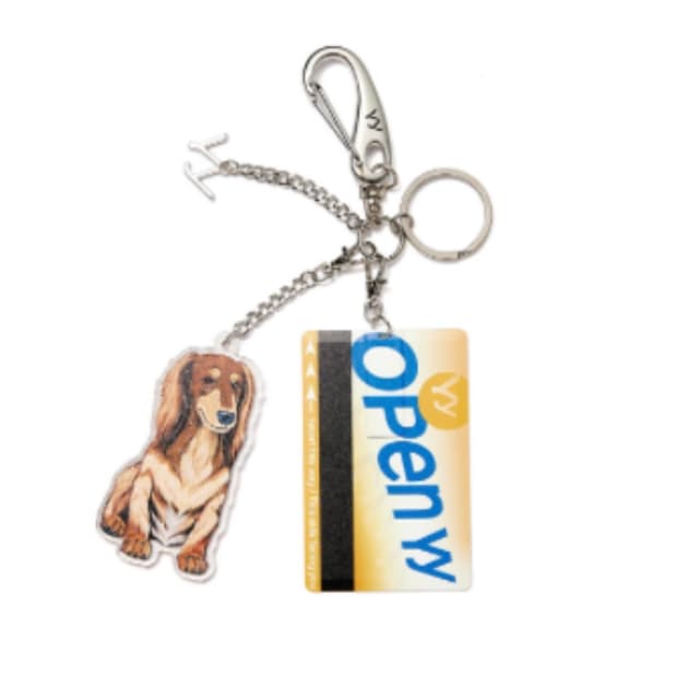 OPEN YY 오픈와이와이 키링