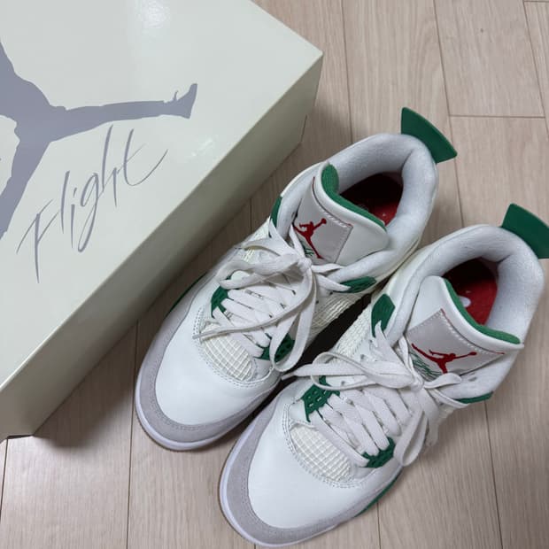 (260) 조던 4 x 나이키 SB 레트로 SP 파인 그린