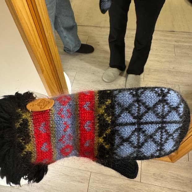 비비안웨스트우드 장갑