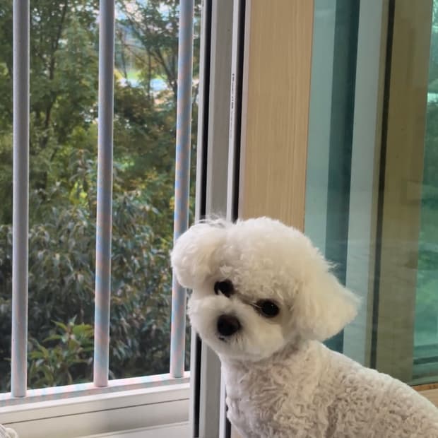 쩝