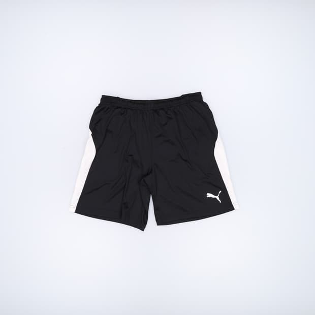 M 푸마 트레이닝 반바지 0410H1