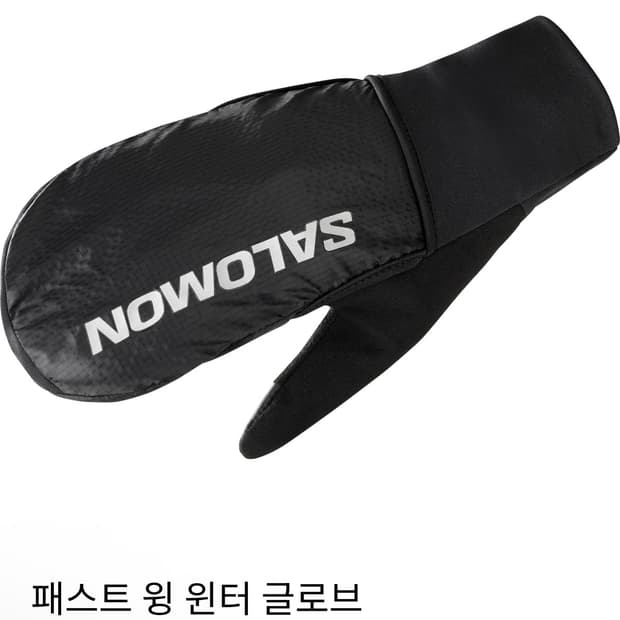 살로몬 윙 윈터 글로브 L