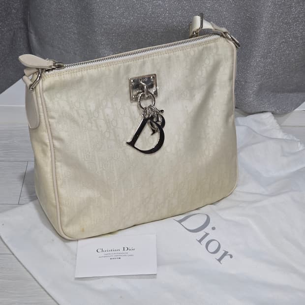 디올 디올챰 오블리크 트로터 쟈가드 나일론 메신저백 숄더백 크로스백