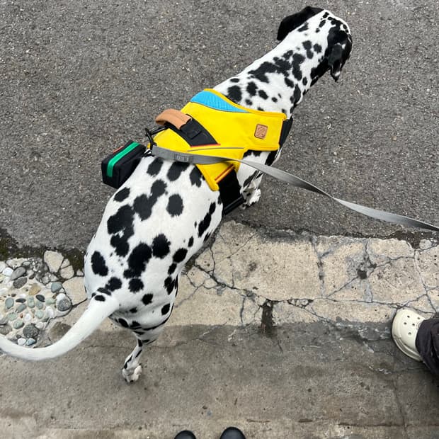 구매 전 확인사항