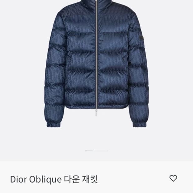 디올 오블리크 패딩