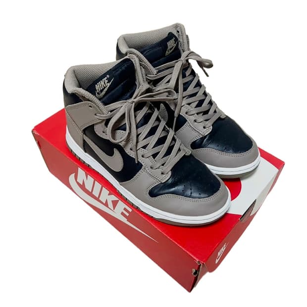 Dunk High Moon Fossil 