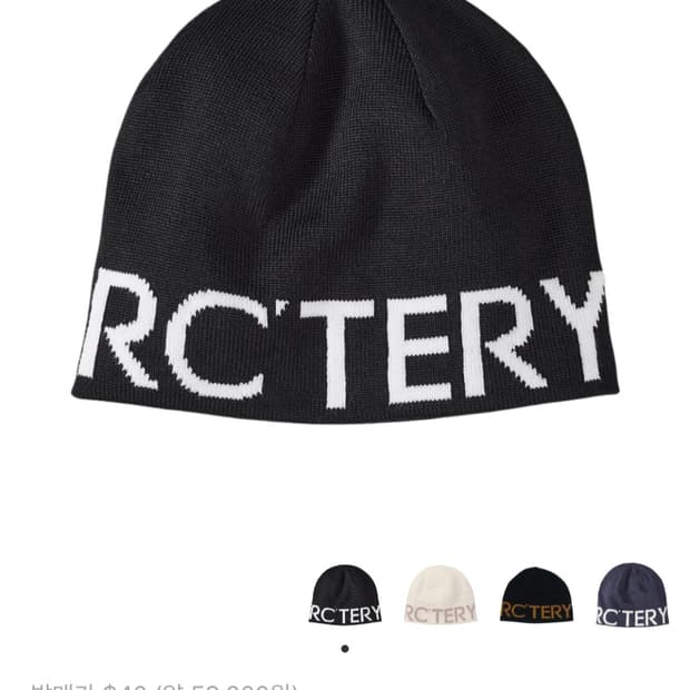 아크테릭스 월드 헤드 토크 오르카 비니