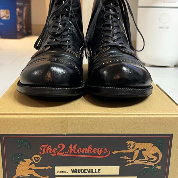 제라도 투몽키즈 보드빌 8.5