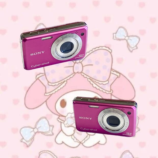 Sony Cyber-shot DSC-W220 디카