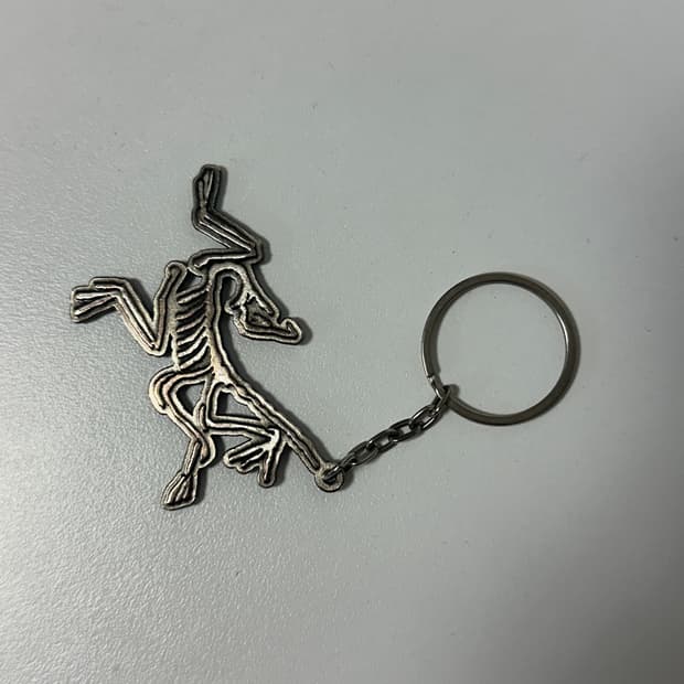 아크테릭스 키링