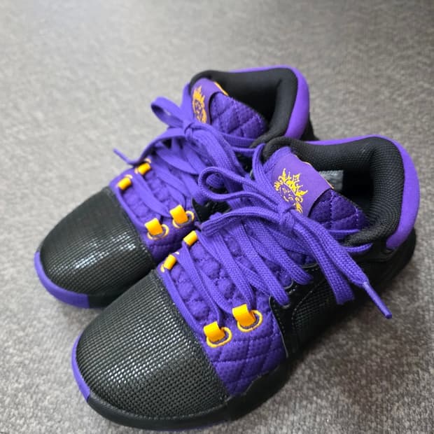 [230] 나이키 르브론 위트니스8 EP 레이커스