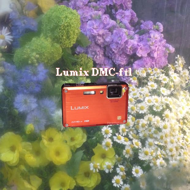 뽀용🫧 작례⭕️ 파나소믹 루믹스 DMC-FT1 빈티지 디카 풀박스