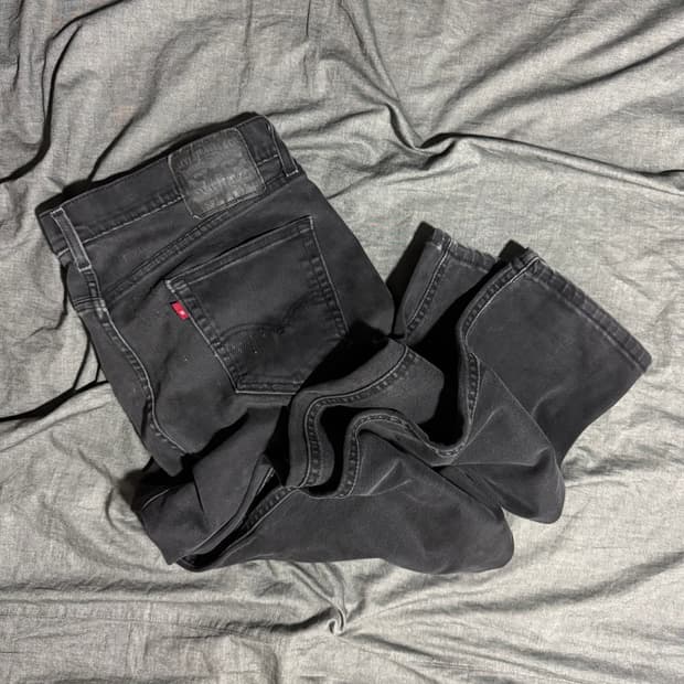 531 WATER < LESS Pants