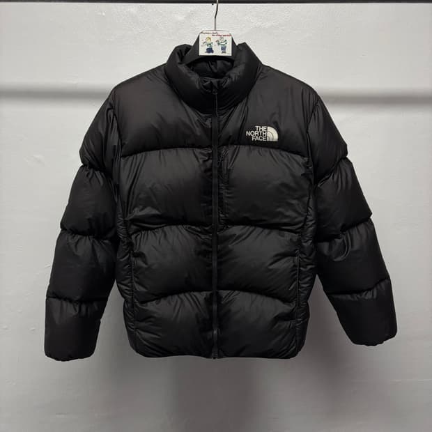 노스페이스 테크 팩 다운 패딩 