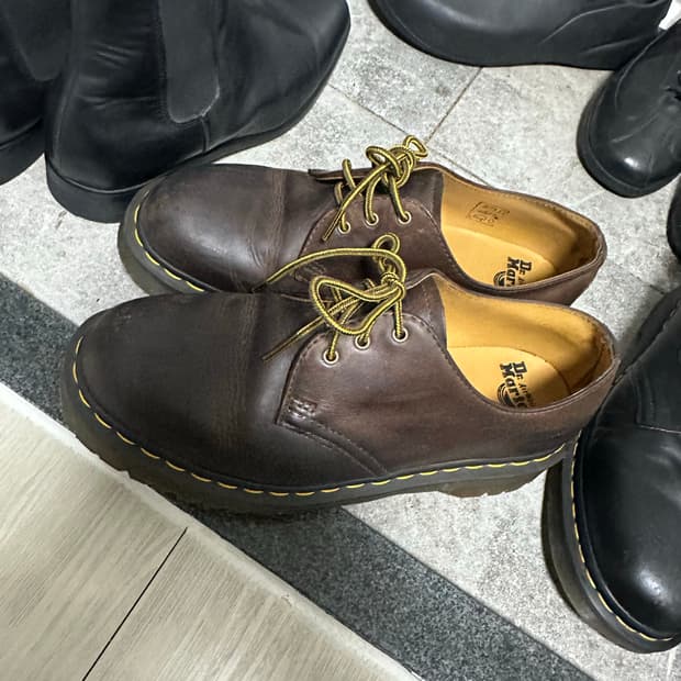 닥마 크레이지홀스 벡스 270