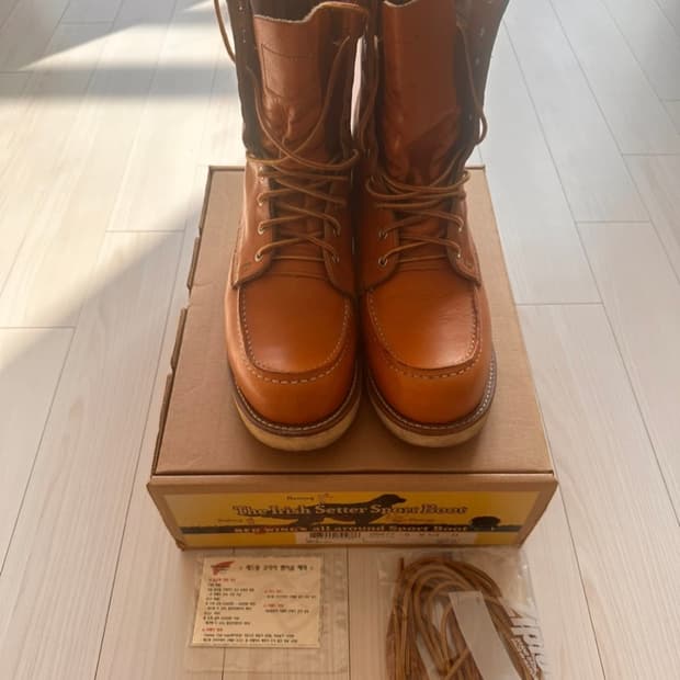 레드윙 9877 아이리쉬세터 275mm 