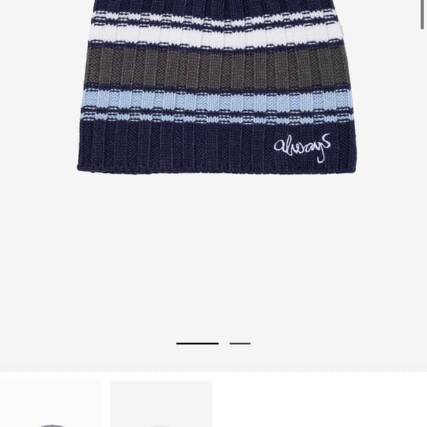 always do what you should do 비니