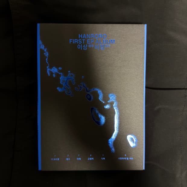 한로로 이상비행 EP 1집 CD