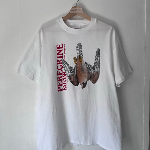 90s vintage hanes falcon t