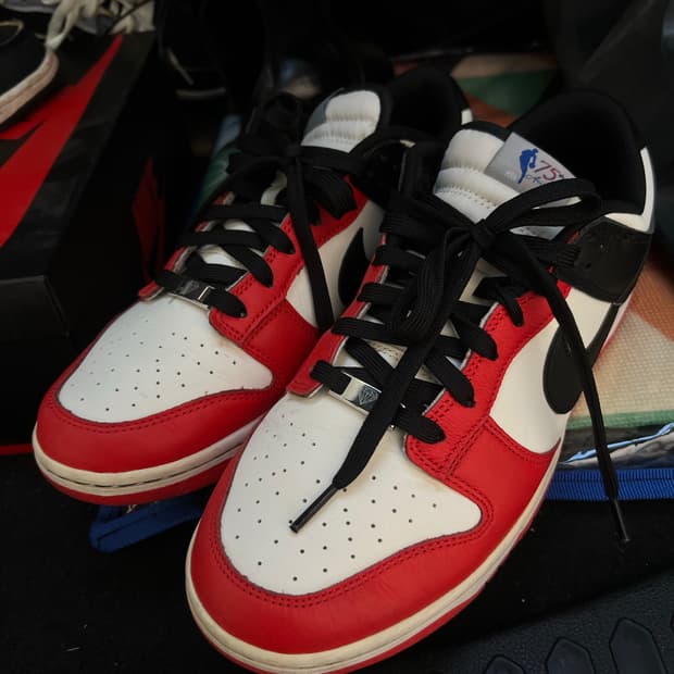 나이키 덩크 로우 NBA 75주년 칠리 레드  290