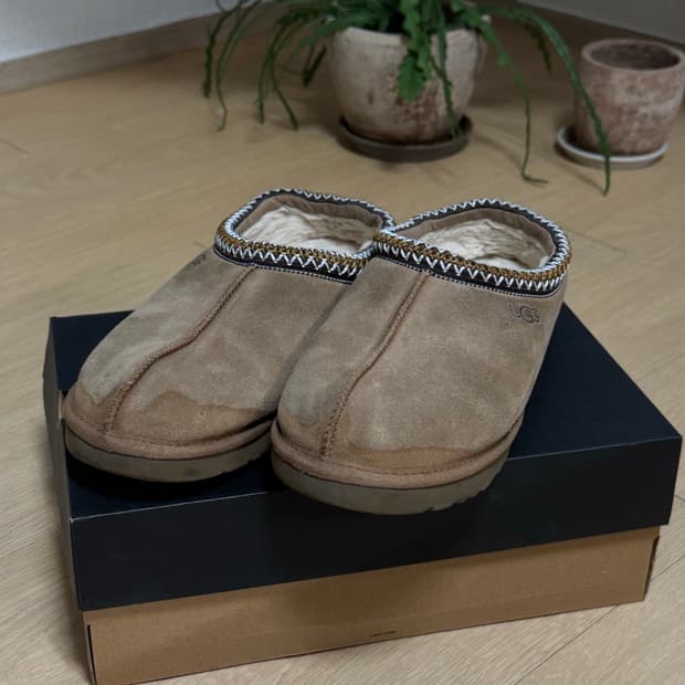 [290] 어그 타스만 슬리퍼 체스트넛