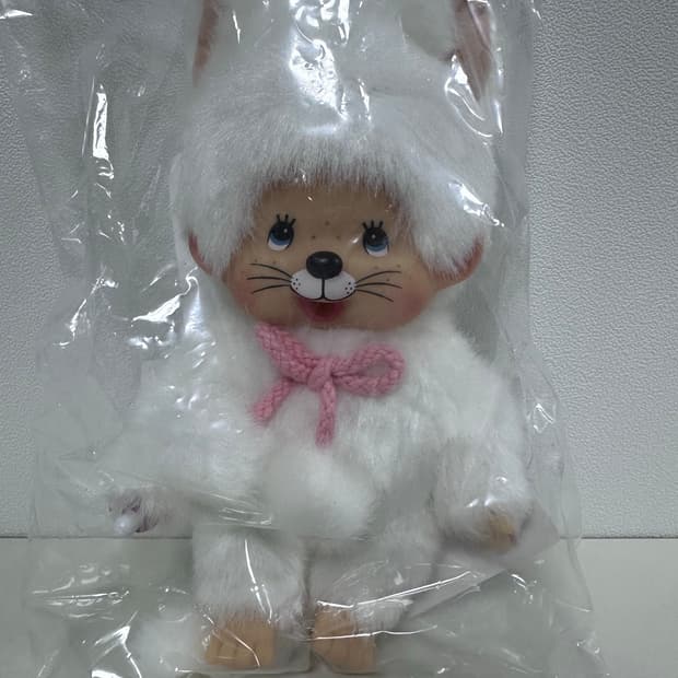 몬치치 화이트 고양이