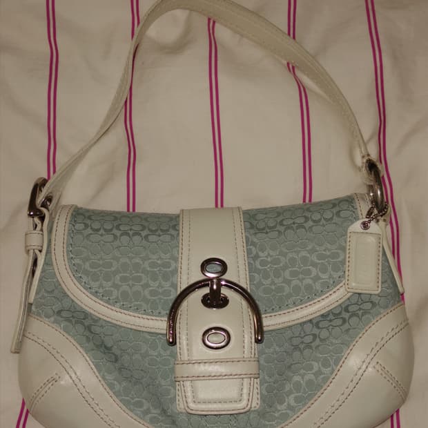 코치 핸드백 스카이블루
