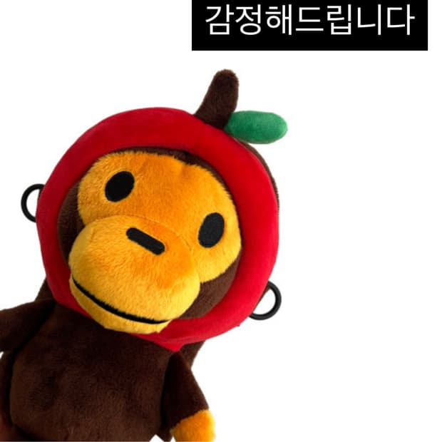 베이프 정가품 감정해드립니다