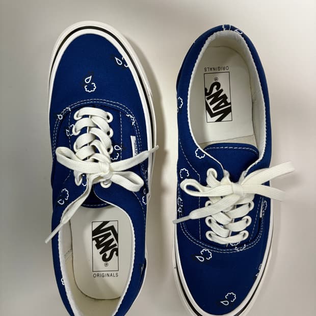 반스 에라 볼트 페이즐리 250