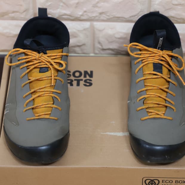 Arc'teryx Aclux SL Approach 슈즈 - 넬슨 정품