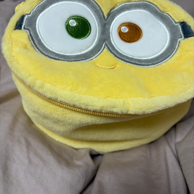 미니언즈 파우치