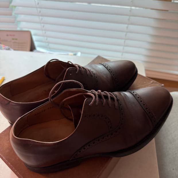 잘란스리와야 브라운 브로그 스트레이트팁 9 (275)