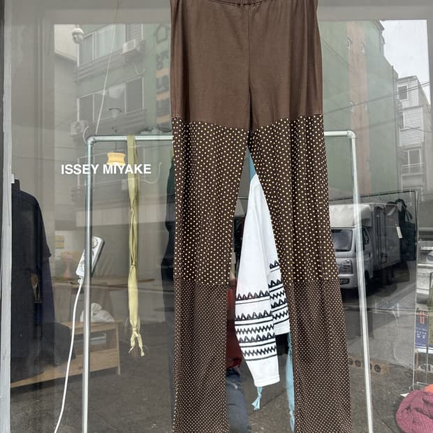 Haat Issey Miyake pants