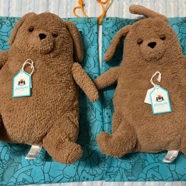 젤리캣 아모레 도그 2마리