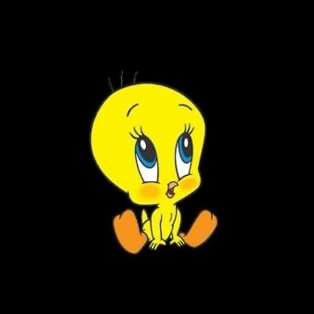 [M] 입생로랑 버건디 니트
