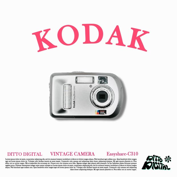 Kodak Easyshare C310 디카